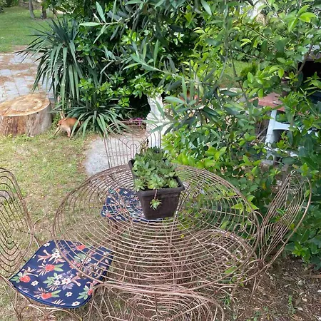 Apartman Glambyaj With Free Parking And Netflix Pula