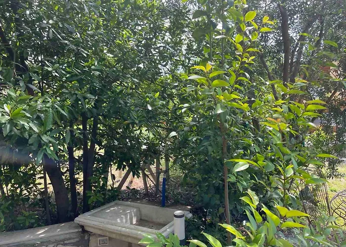 Glambyaj With Free Parking And Netflix Pula